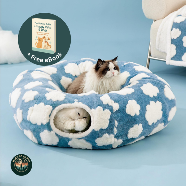 Cozy 2 in 1 Tunnel Bed