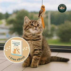 Interactive Bird Simulator for Cats