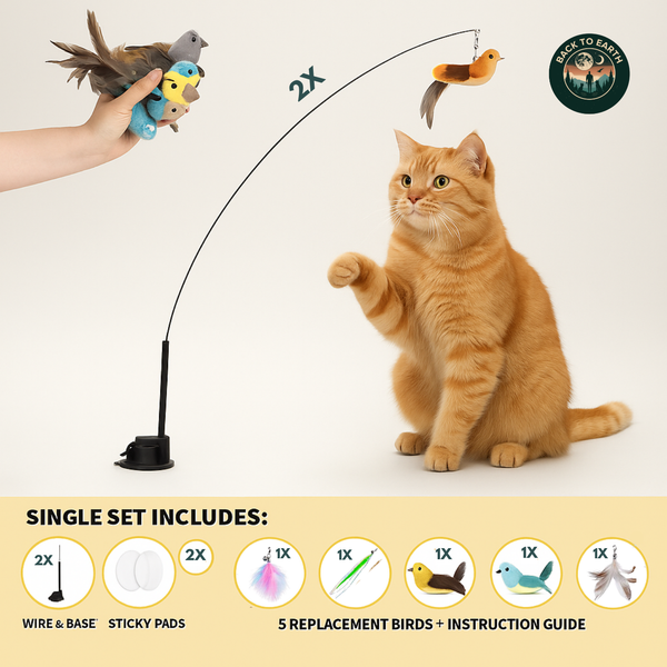 Interactive Bird Simulator for Cats