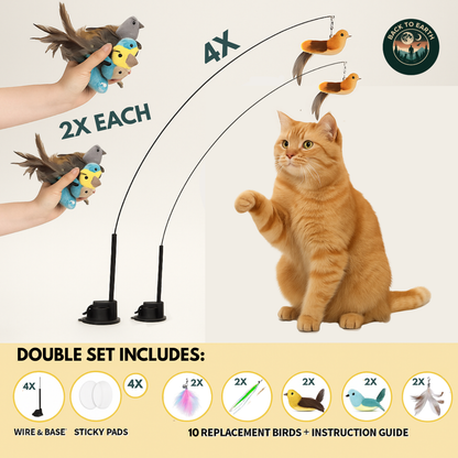 Interactive Bird Simulator for Cats