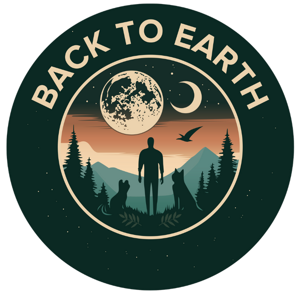 BACK TO EARTH