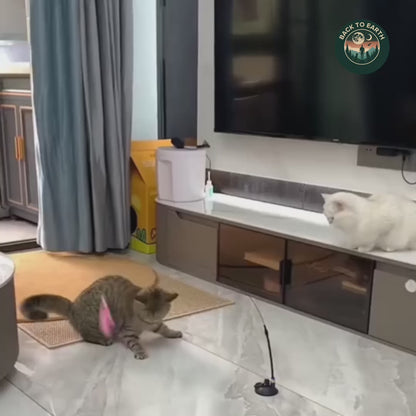 Interactive Bird Simulator for Cats